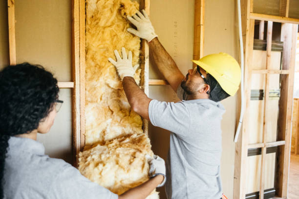 Best Wall Insulation Installation  in Uniondale, NY